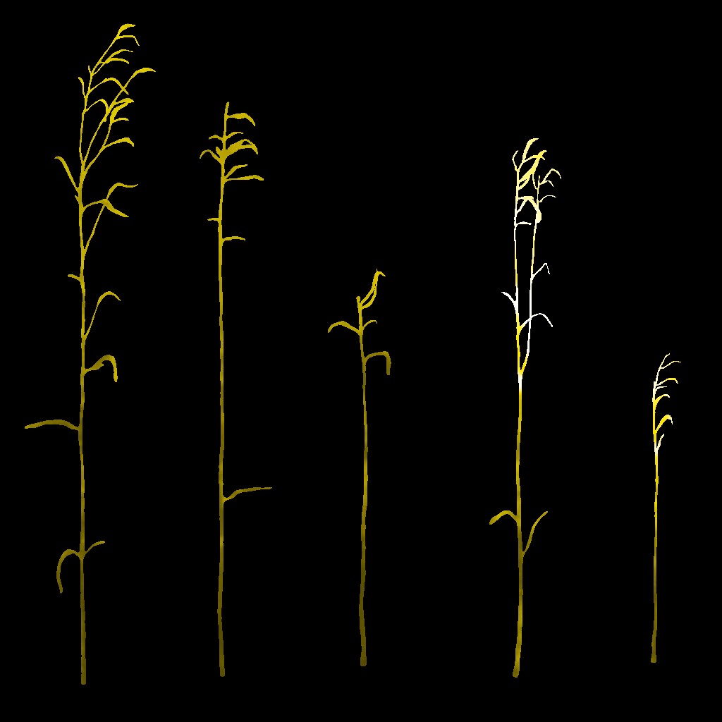 AET066_076_a.jpg