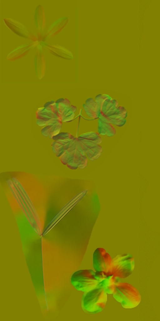 AET066_092_n.jpg