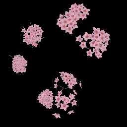 AET066_097_a.jpg