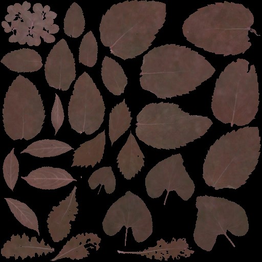 AET066_218_a.jpg