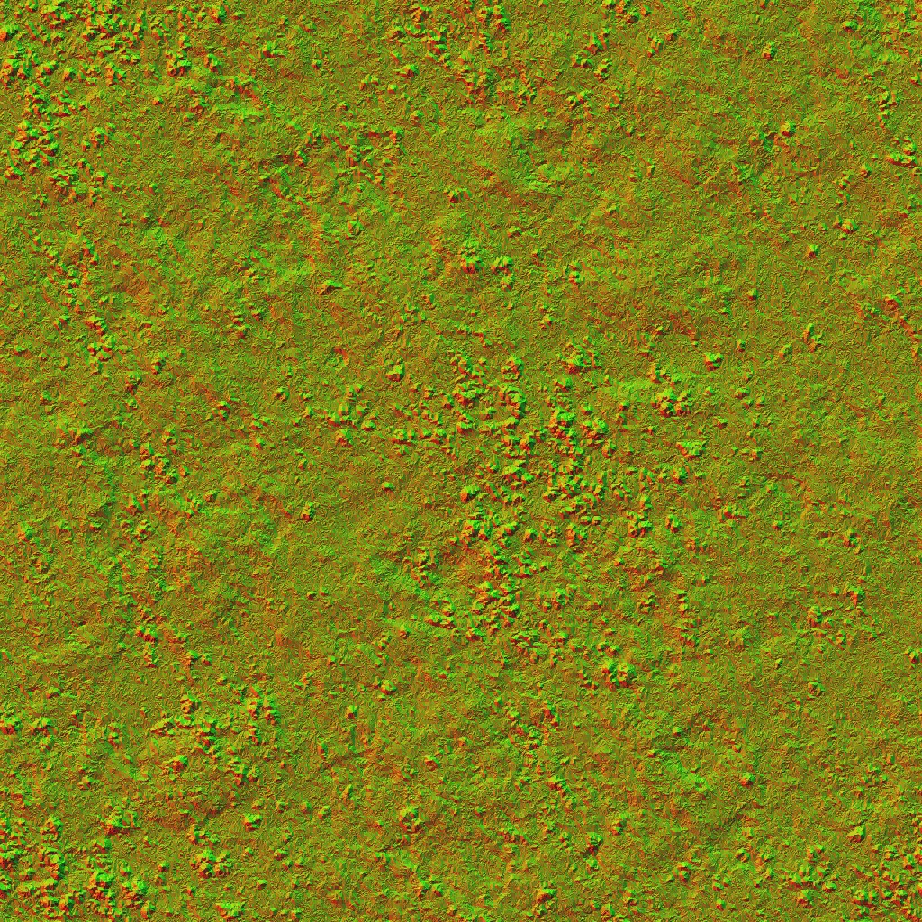 AET071_007_n.jpg
