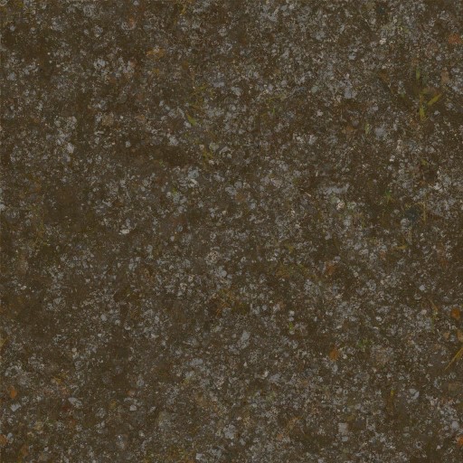 AET071_011_a.jpg