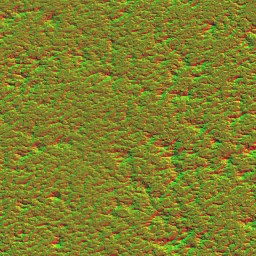 AET090_254_n.jpg