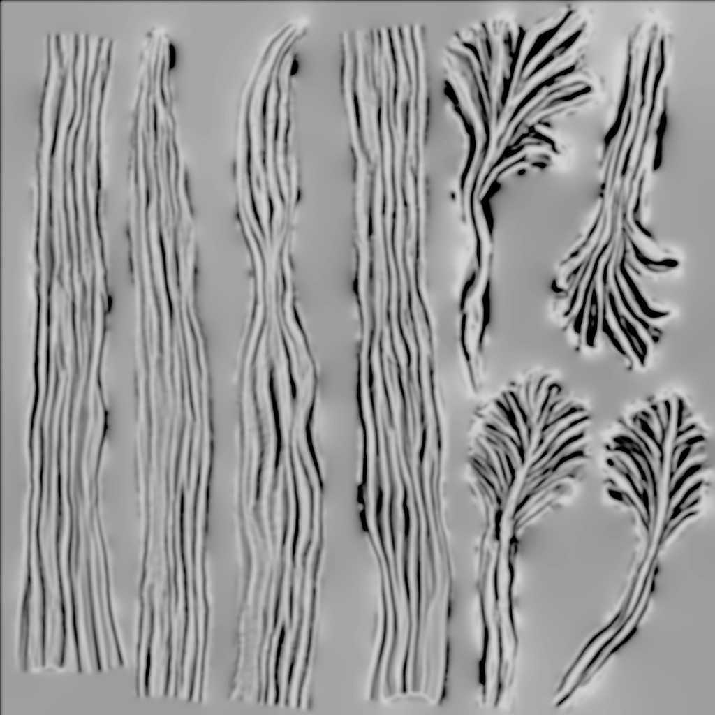 AET099_502_1m.jpg
