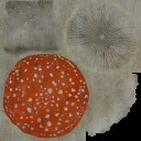 AET099_650_a.jpg