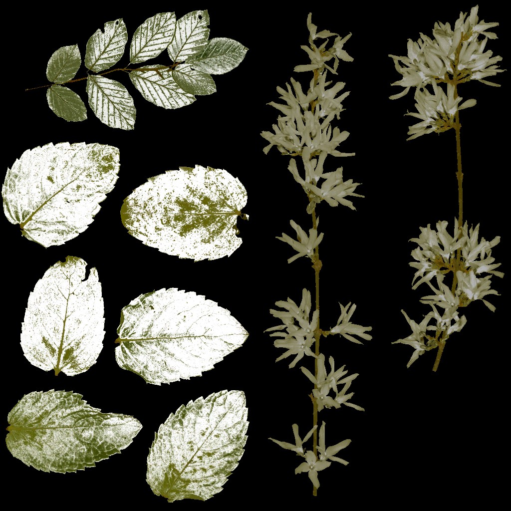 AET099_682_a.jpg