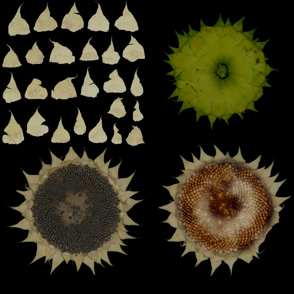 AET099_683_a.jpg