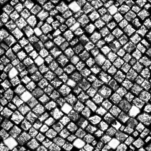 AET210_061_1m.jpg