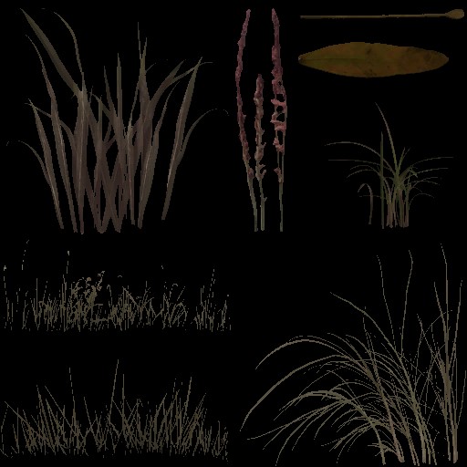 AET210_067_a.jpg