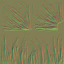 AET210_091_n.jpg