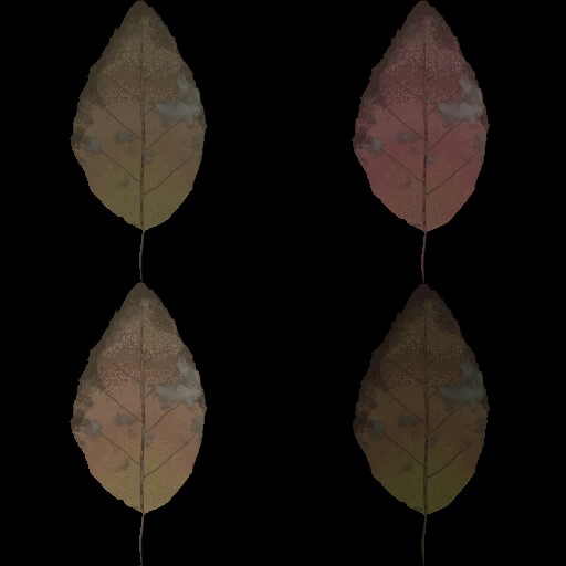 AET210_152_a.jpg