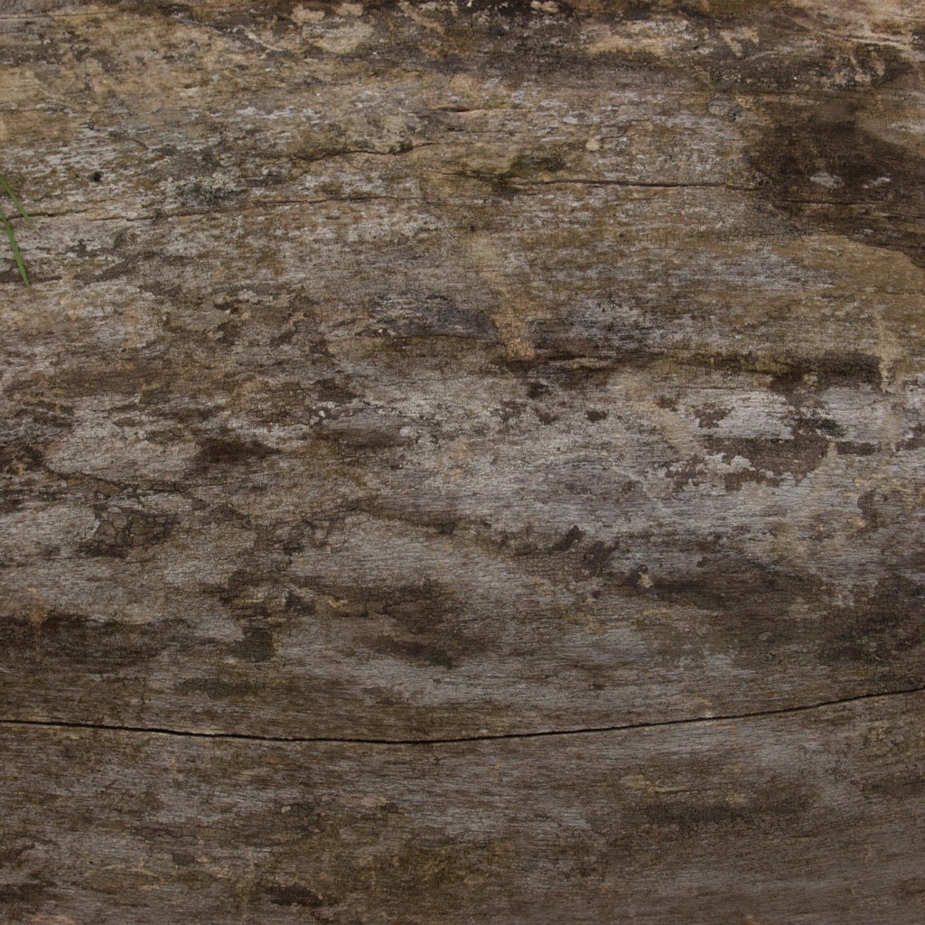 AET210_265_a.jpg