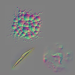 AET210_469_n.jpg