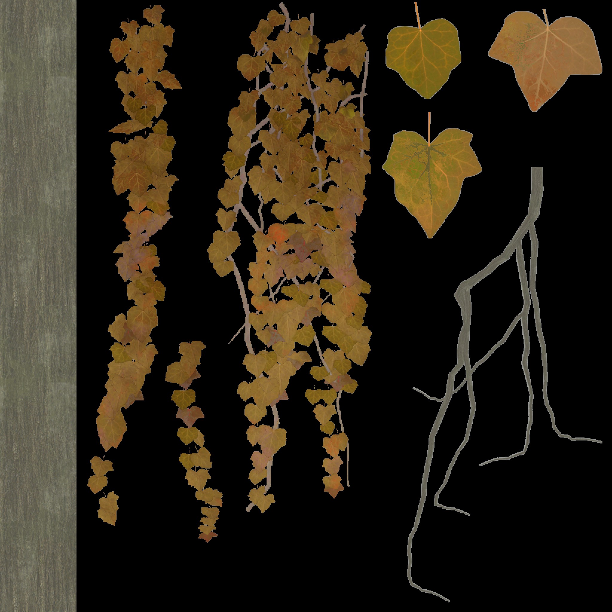AET210_566_a.jpg
