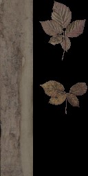 AET220_154_a.jpg