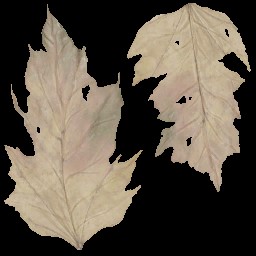 AET220_186_a.jpg