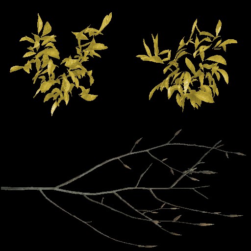 AET220_213_a.jpg