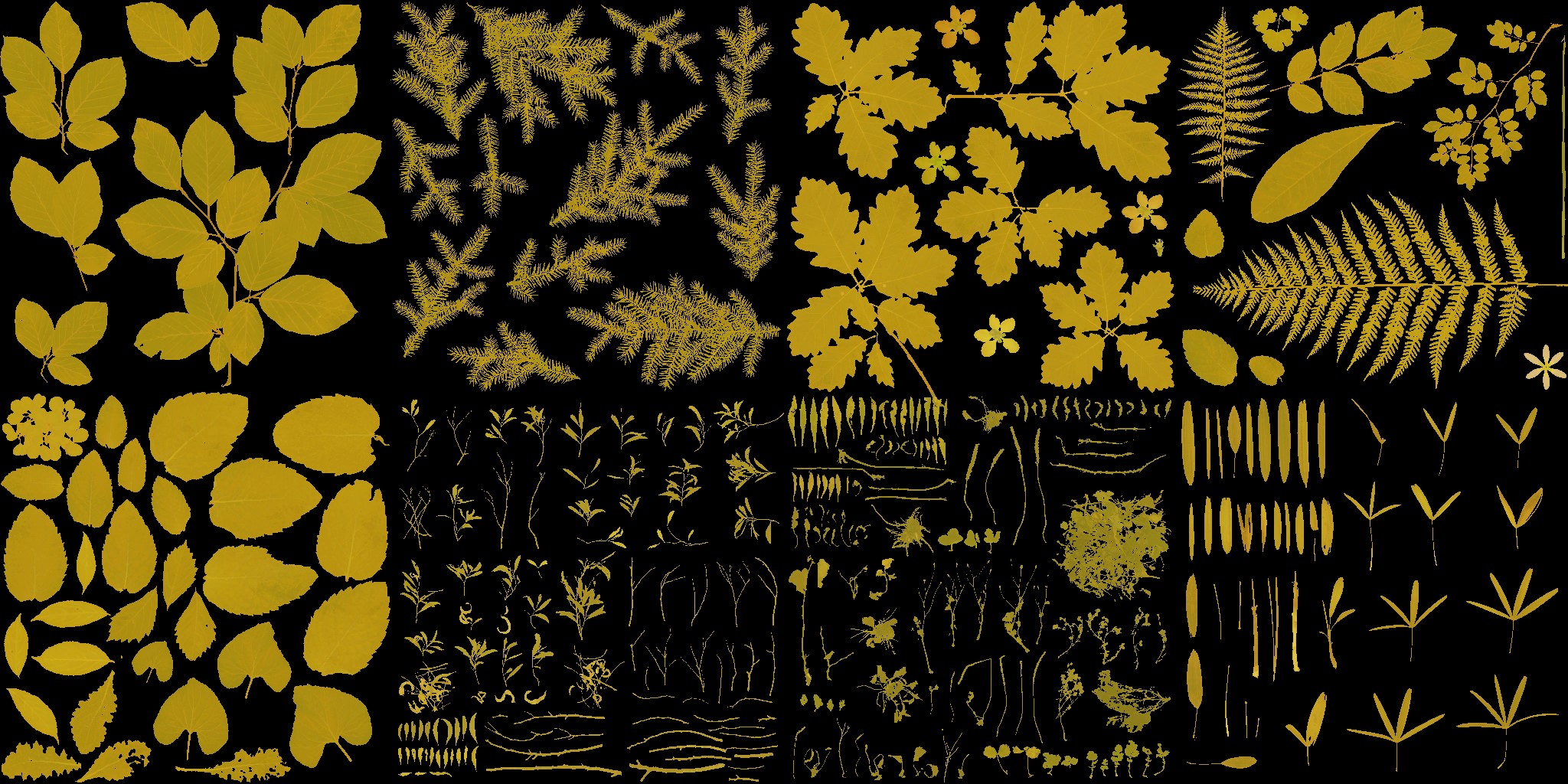 AET220_245_a.jpg