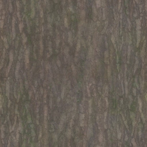 AET220_259_a.jpg