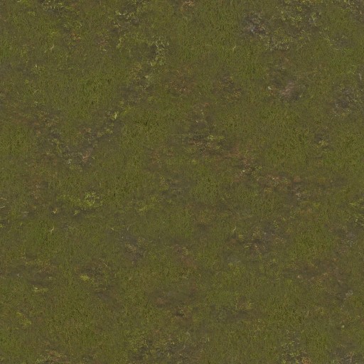 AET220_262_a.jpg