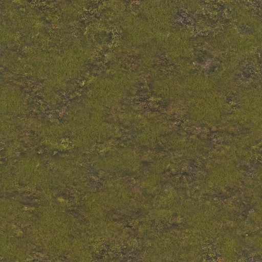 AET220_301_a.jpg