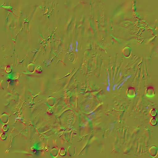 AET222_001_n.jpg