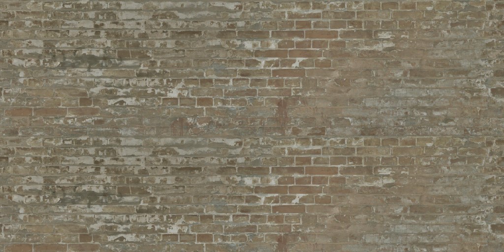 AET223_025_a.jpg
