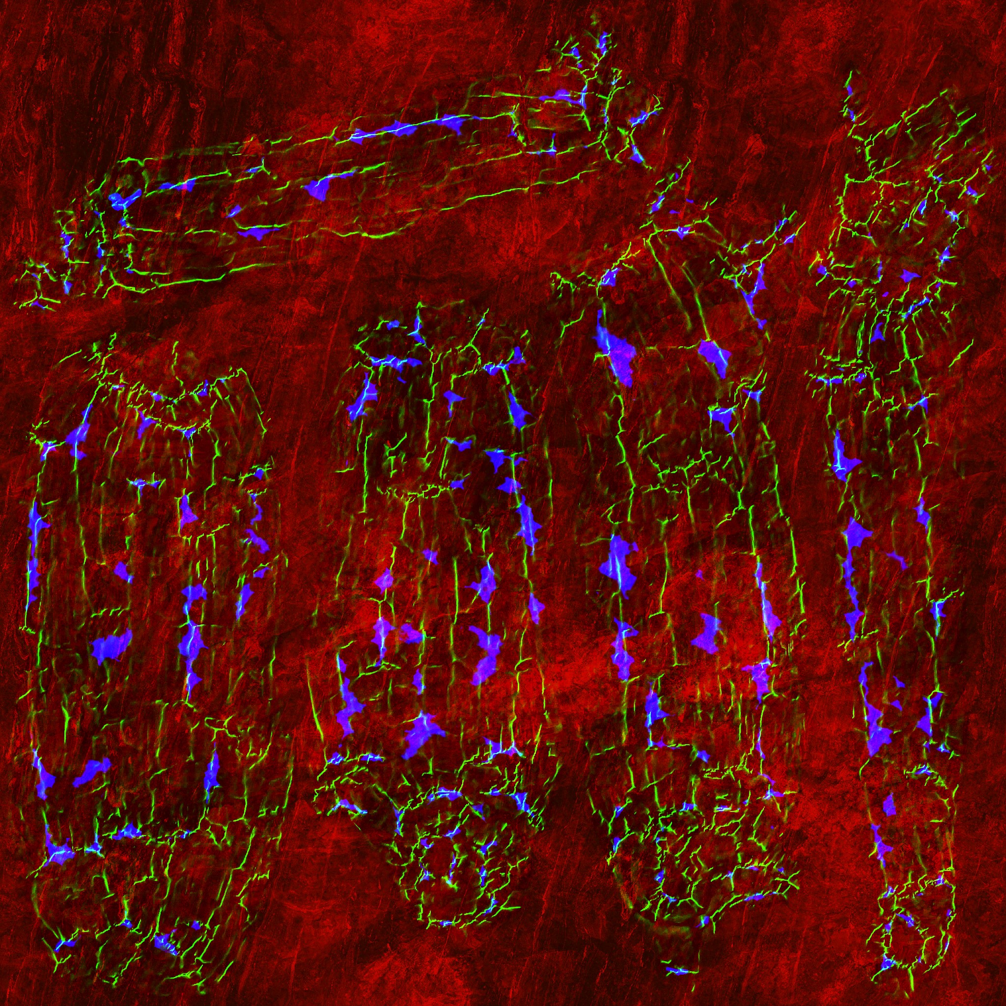 AET230_180_3m.jpg