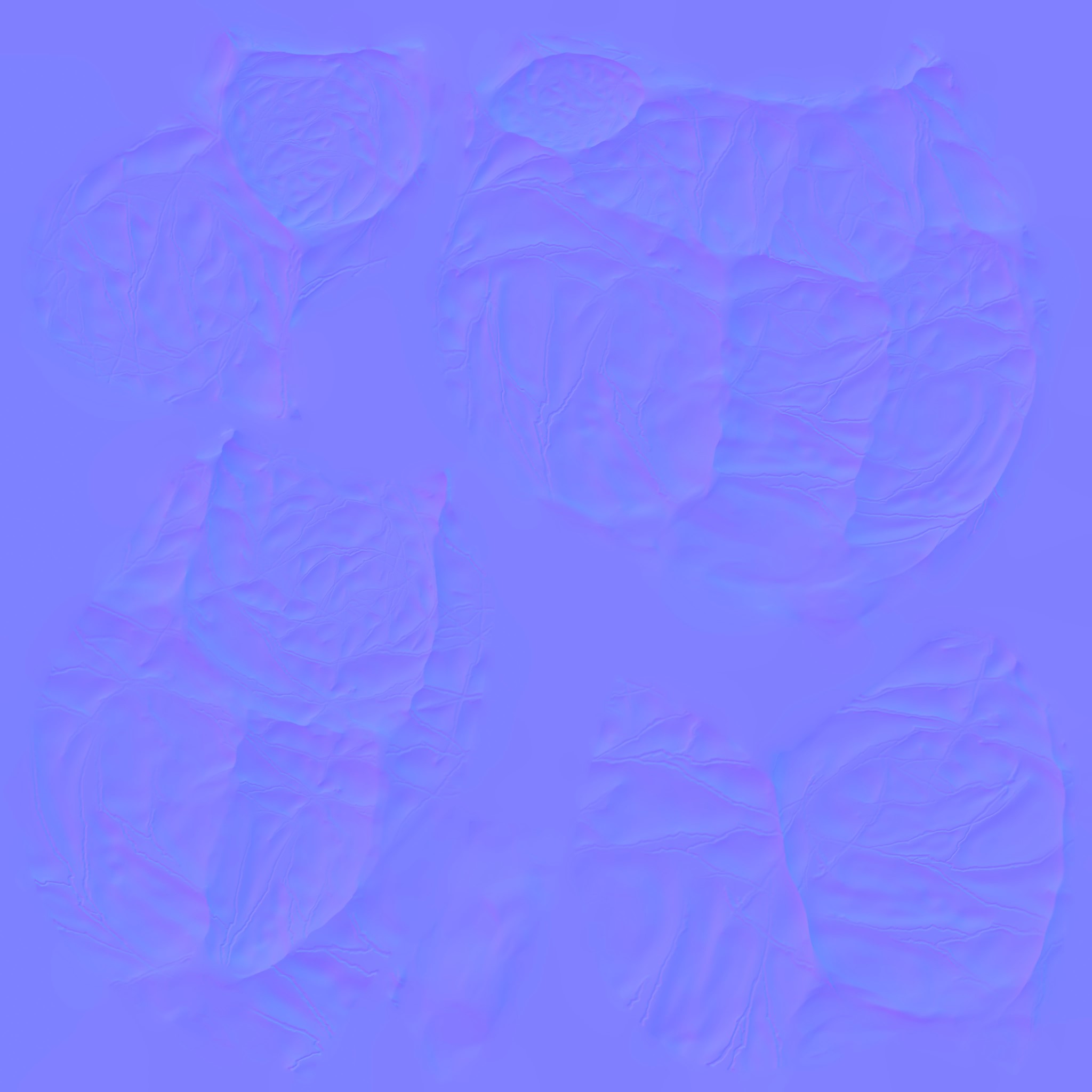 AET230_458_n.jpg
