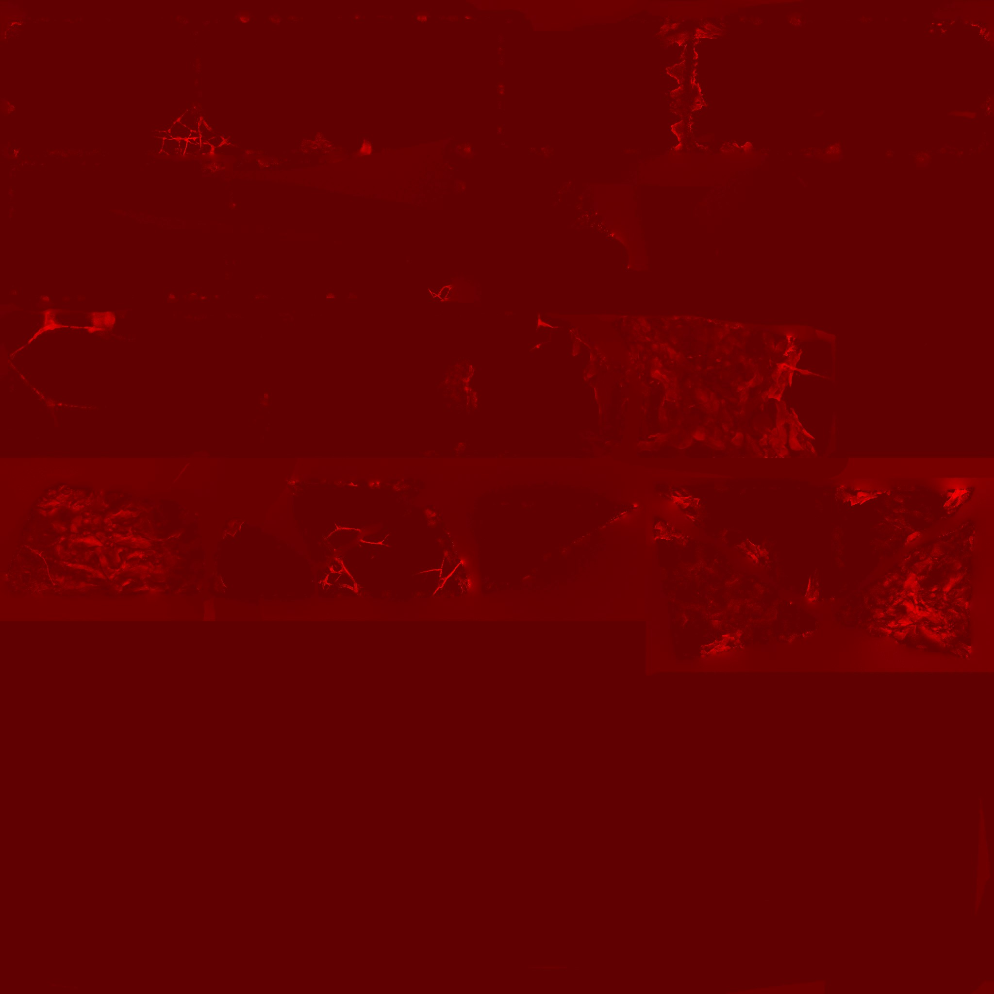AET230_744_3m.jpg