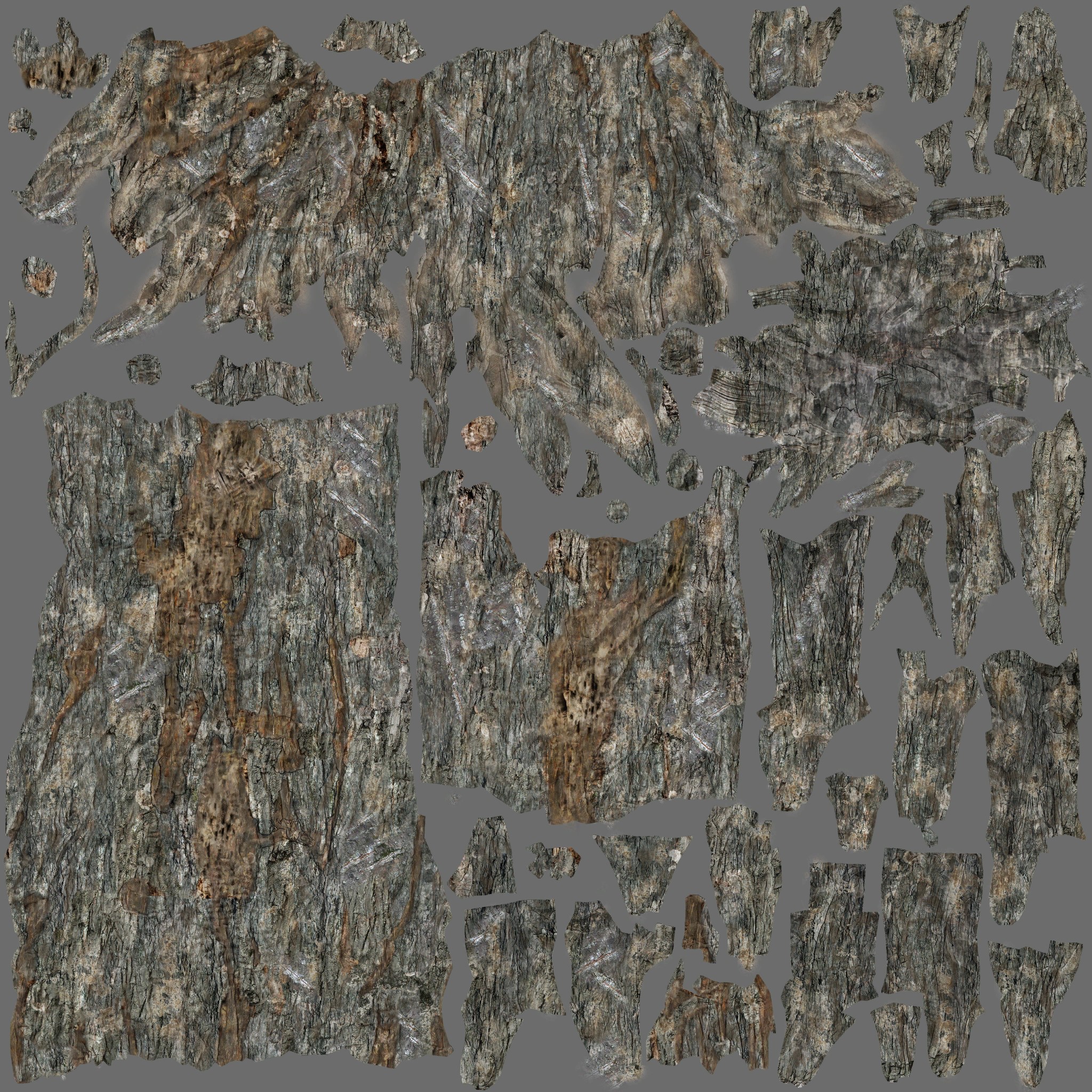 AET230_874_a.jpg