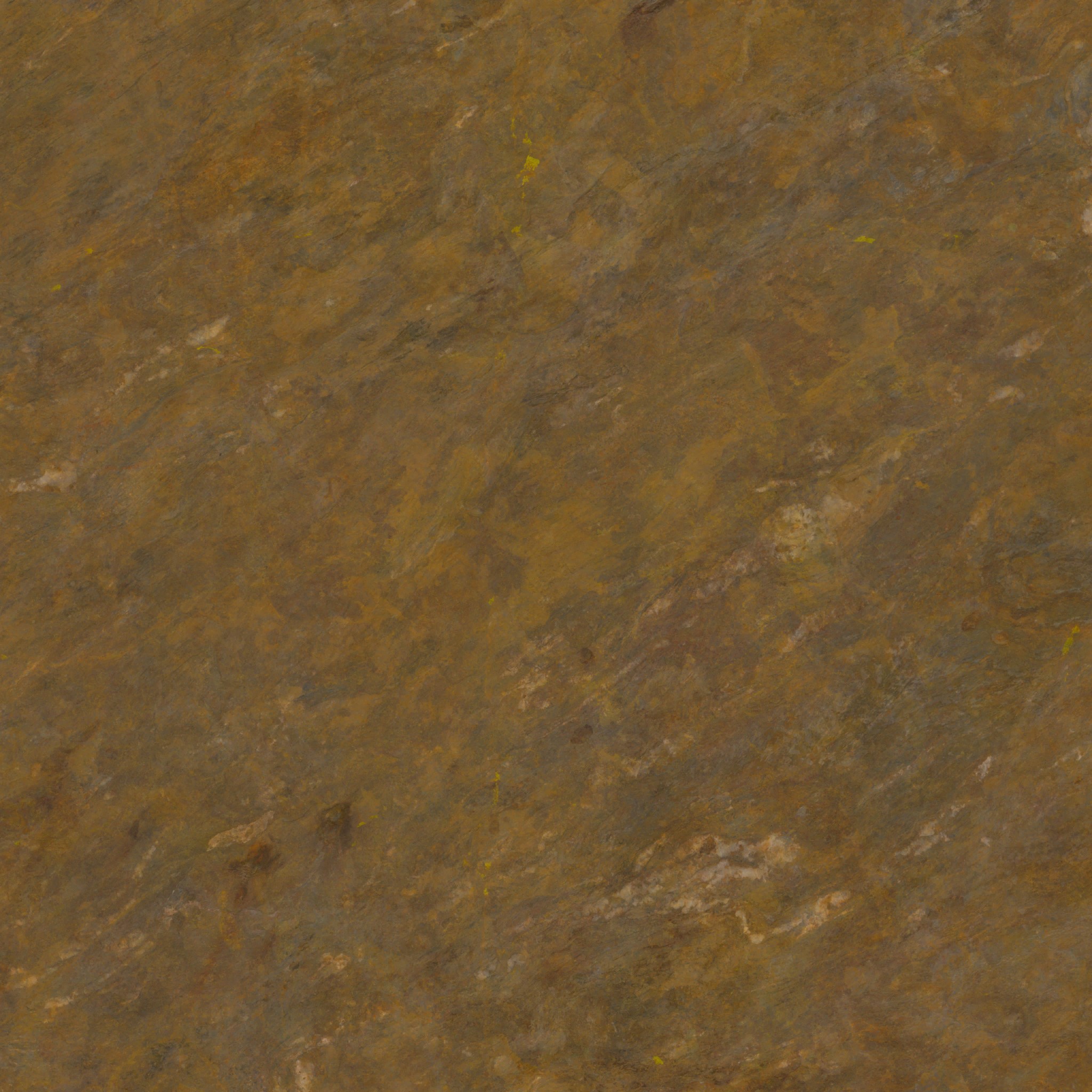 AET230_876_a.jpg