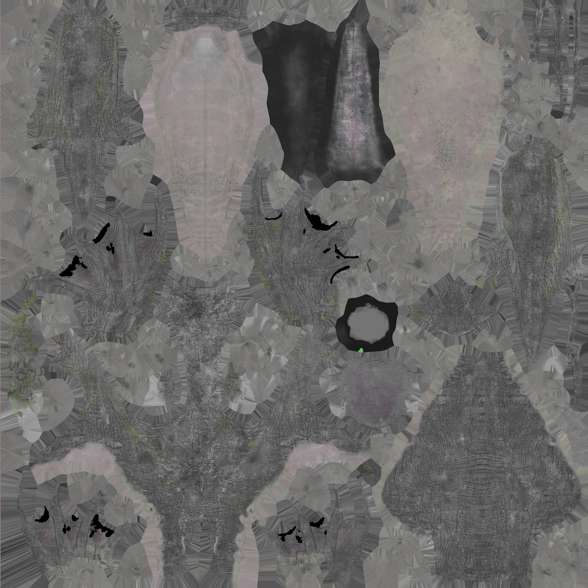 AET240_157_a.jpg