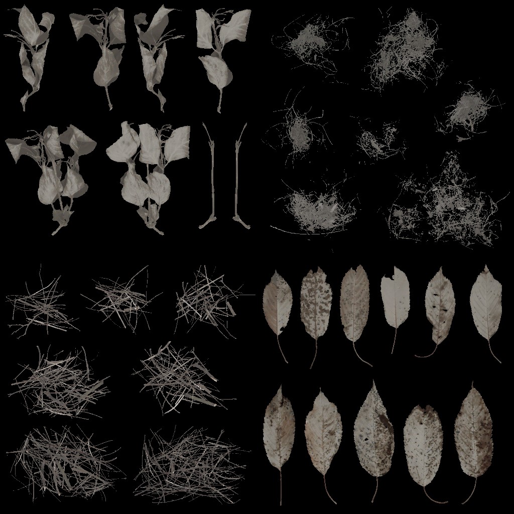 AET240_163_a.jpg