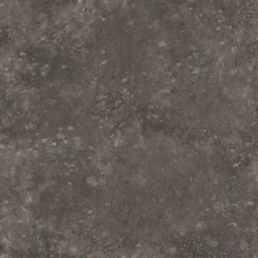 AET250_018_a.jpg
