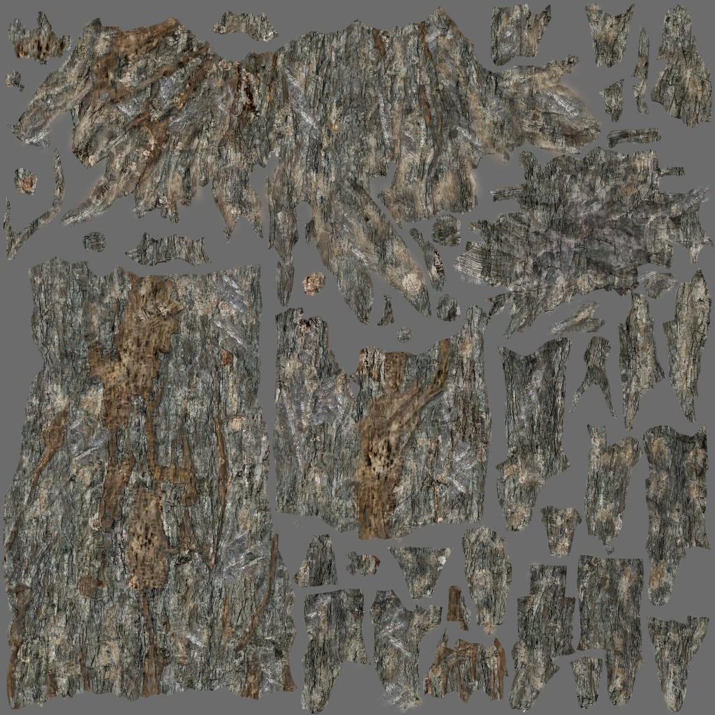 AET250_162_a.jpg
