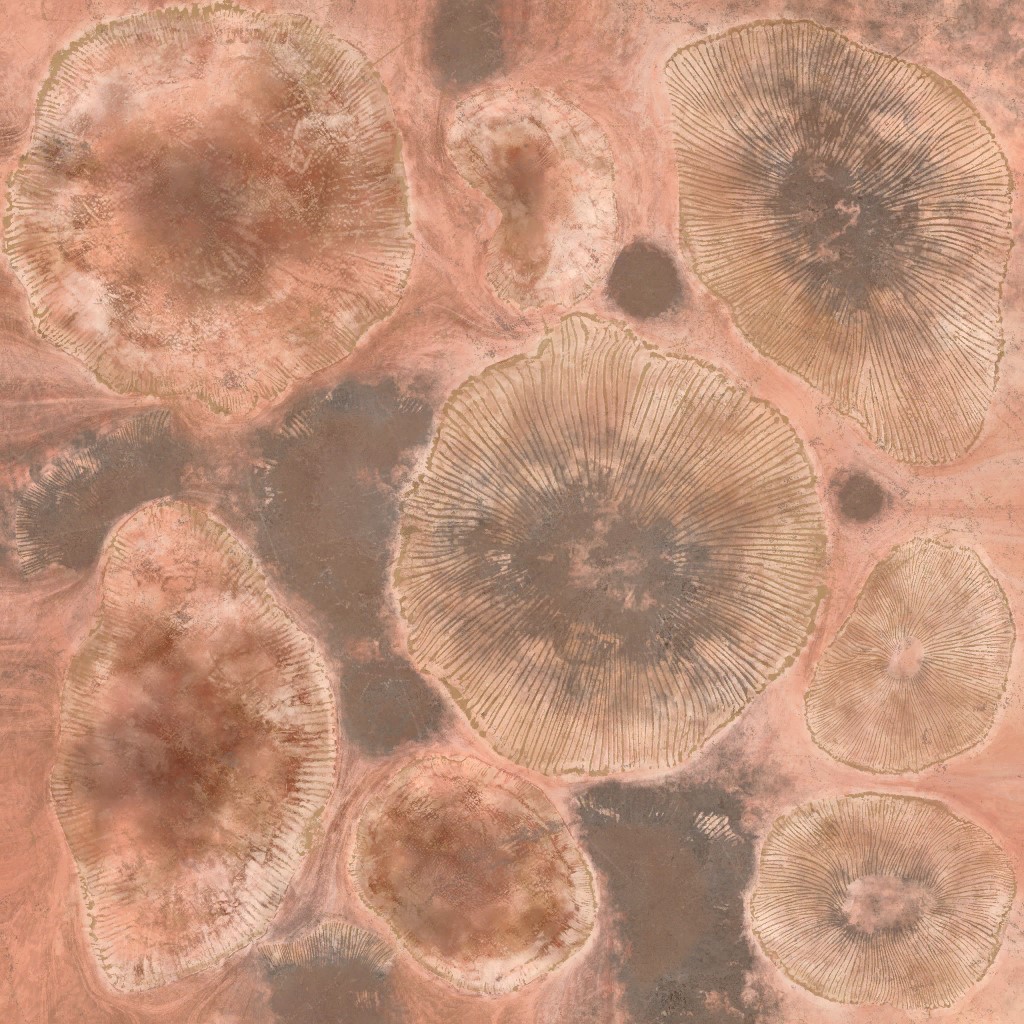 AET260_011_a.jpg