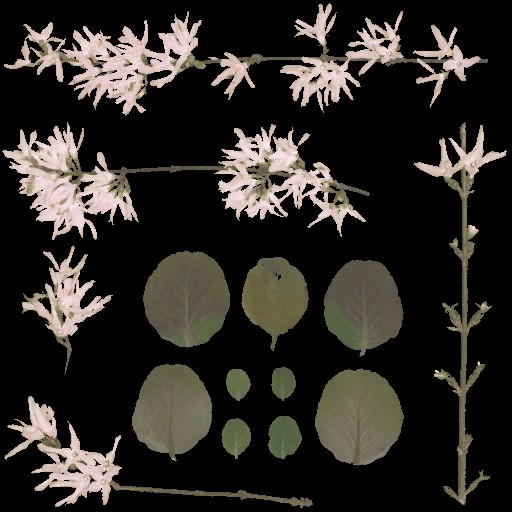 AET260_033_a.jpg