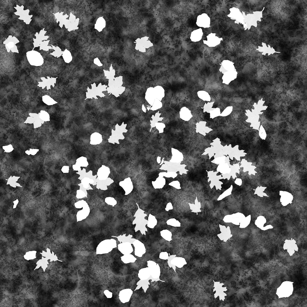 AET260_047_1m.jpg