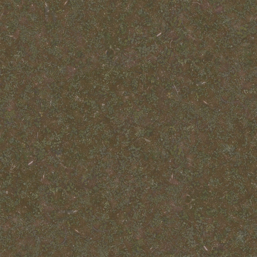 AET260_053_a.jpg