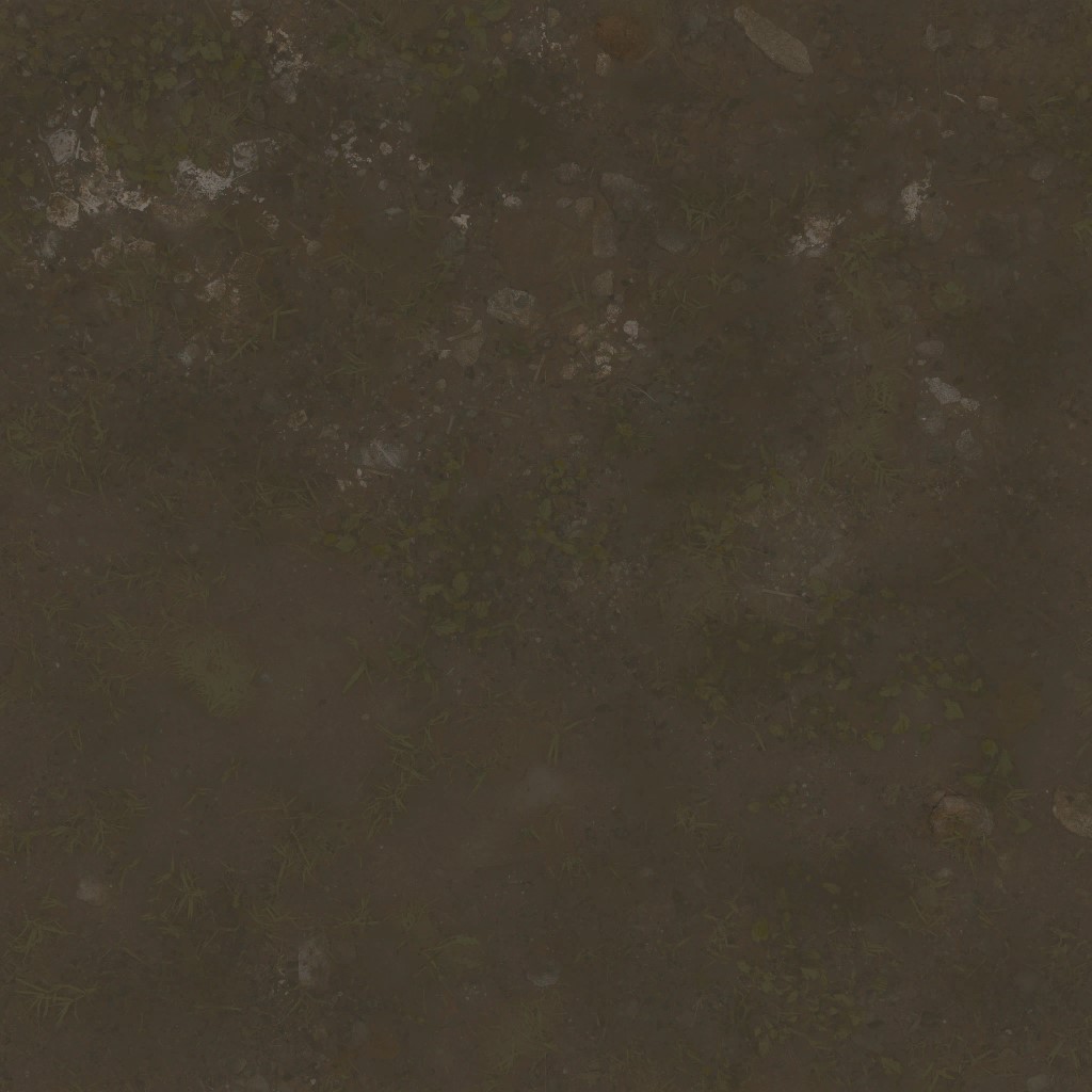 AET260_079_a.jpg