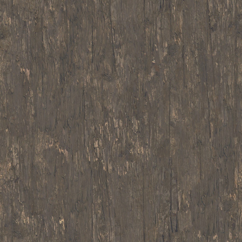 AET260_113_a.jpg