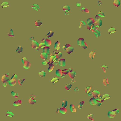 AET260_343_n.jpg