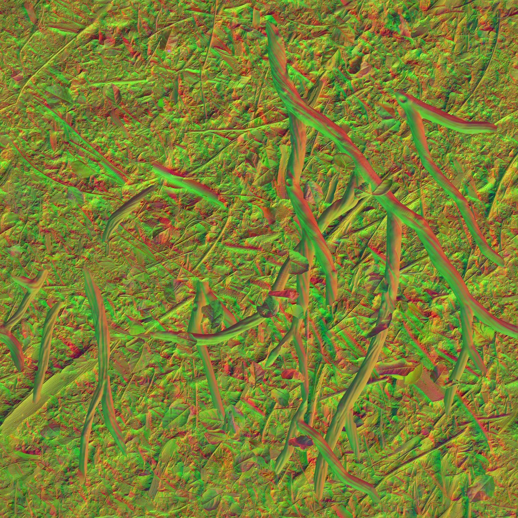 AET260_349_n.jpg