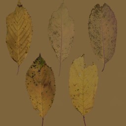 AET260_358_a.jpg