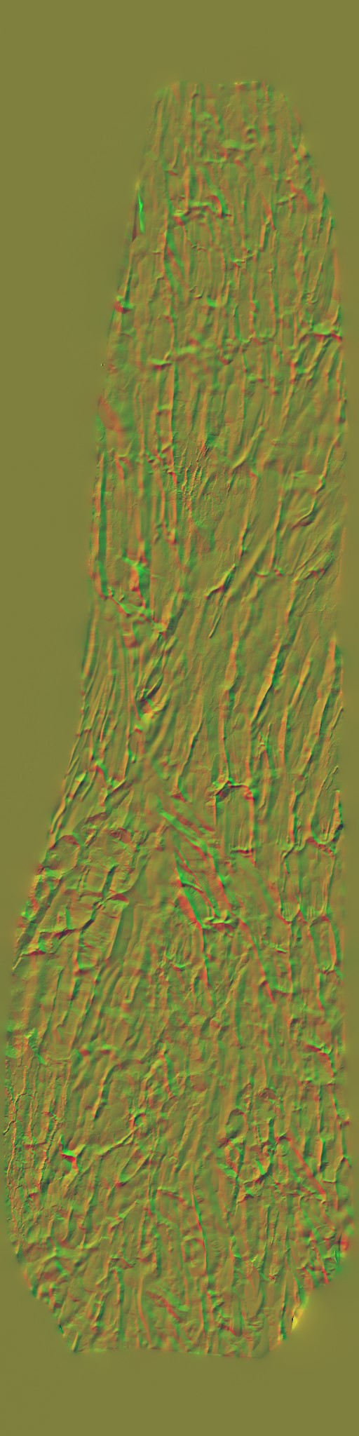 AET260_602_n.jpg