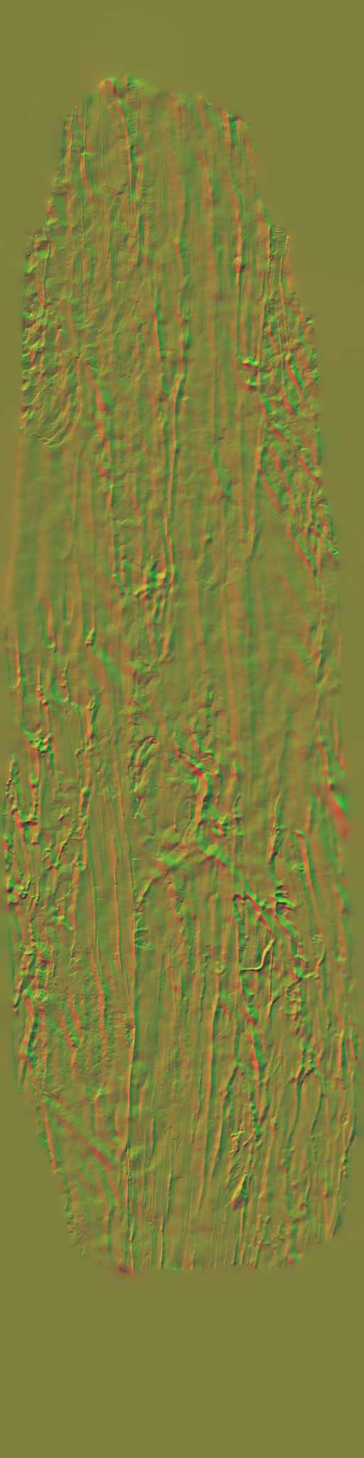 AET260_603_n.jpg