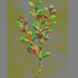 AET260_622_n.jpg