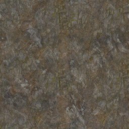AET260_850_a.jpg