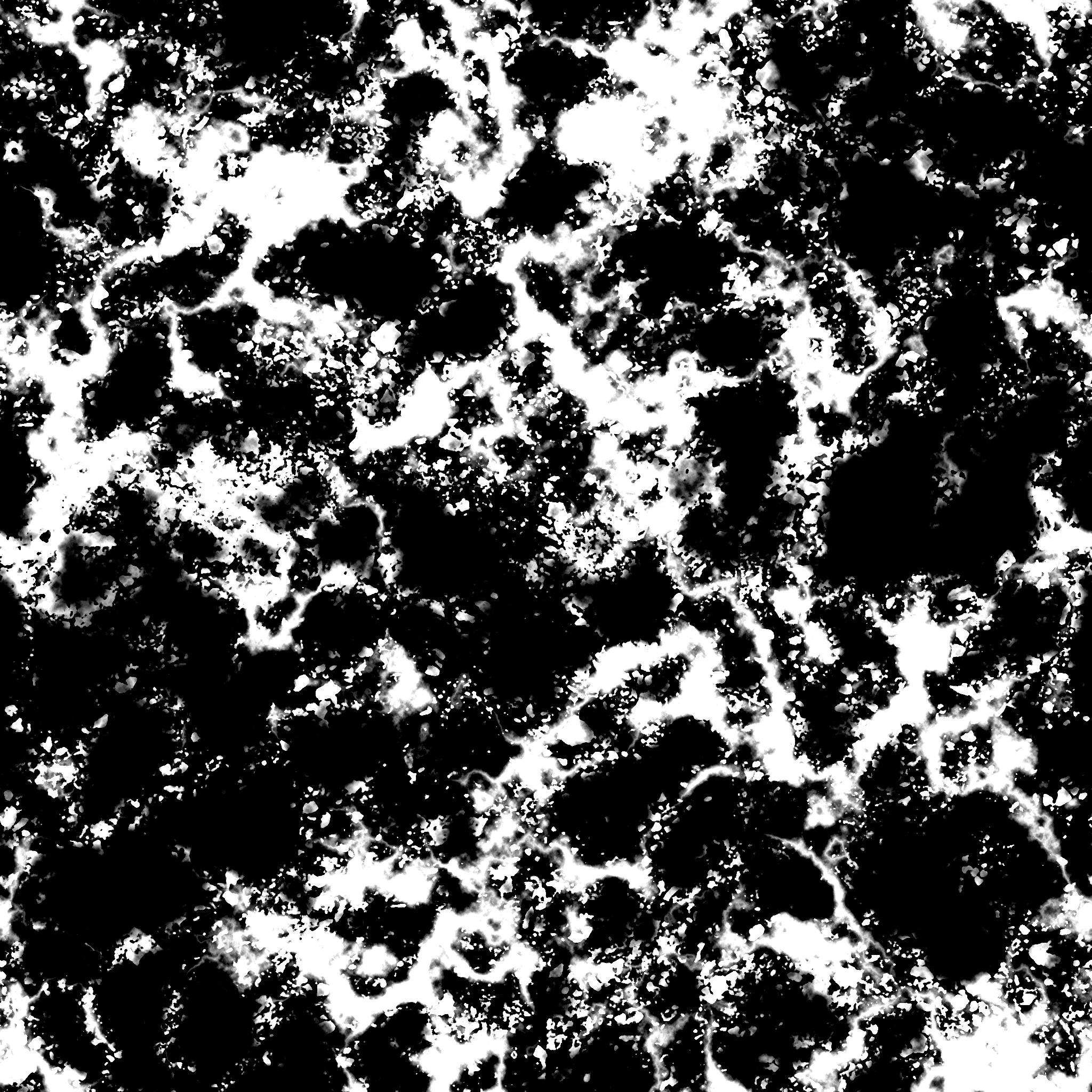 AET270_032_1m.jpg